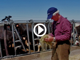 Dr. Richard Patton - Discussing Nutrition